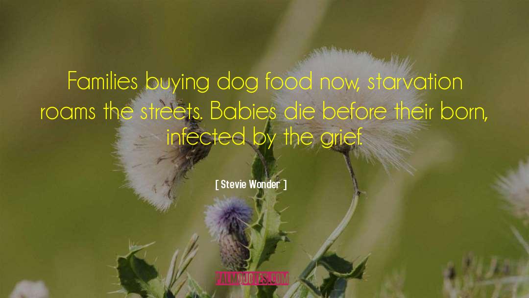 Stevie Wonder Quotes: Families buying dog food now,