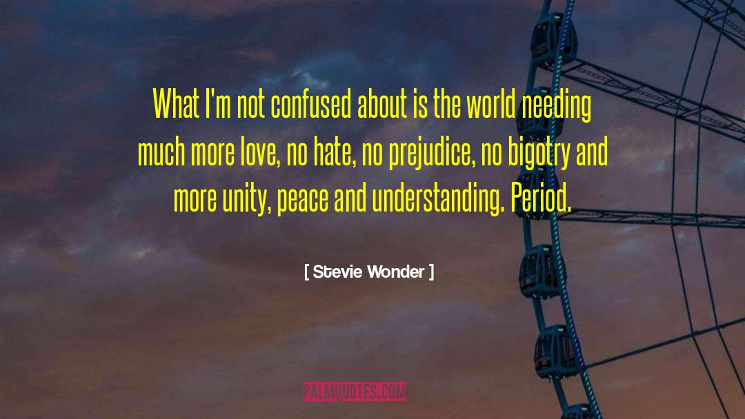 Stevie Wonder Quotes: What I'm not confused about
