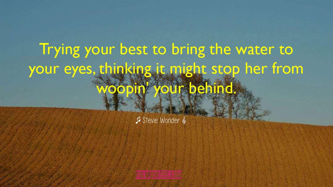 Stevie Wonder Quotes: Trying your best to bring