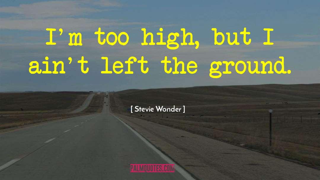 Stevie Wonder Quotes: I'm too high, but I