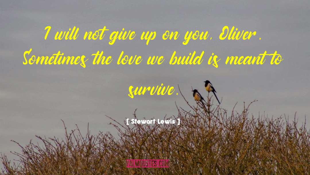 Stewart Lewis Quotes: I will not give up