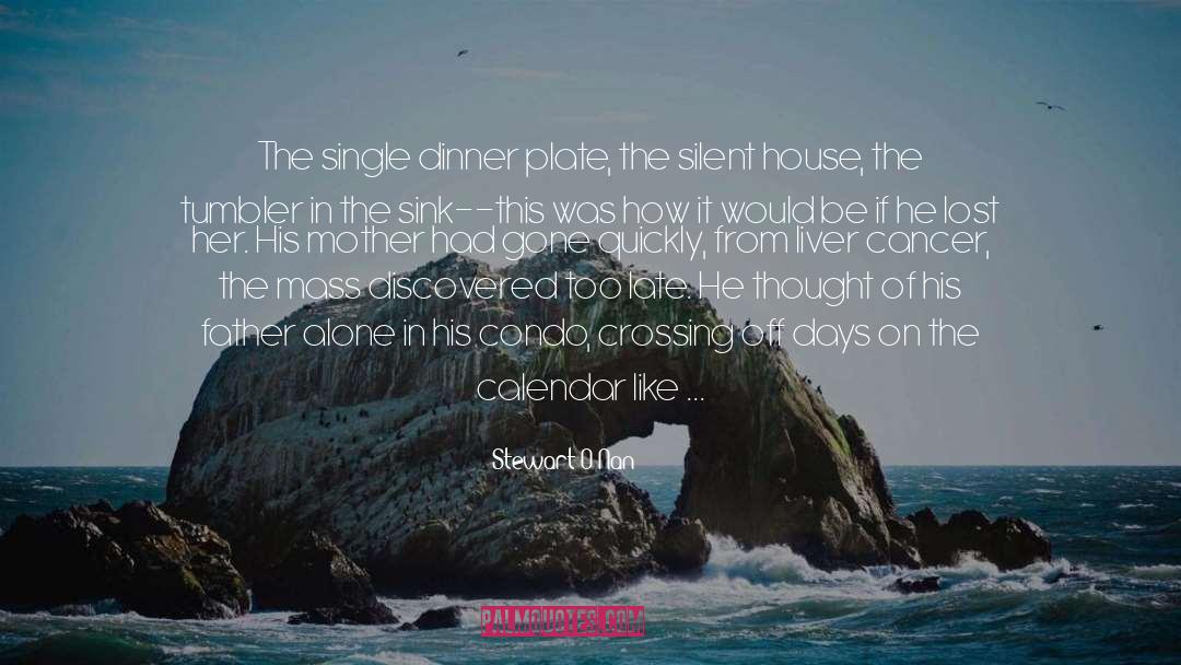 Stewart O'Nan Quotes: The single dinner plate, the