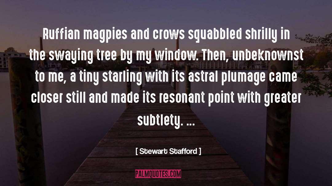 Stewart Stafford Quotes: Ruffian magpies and crows squabbled