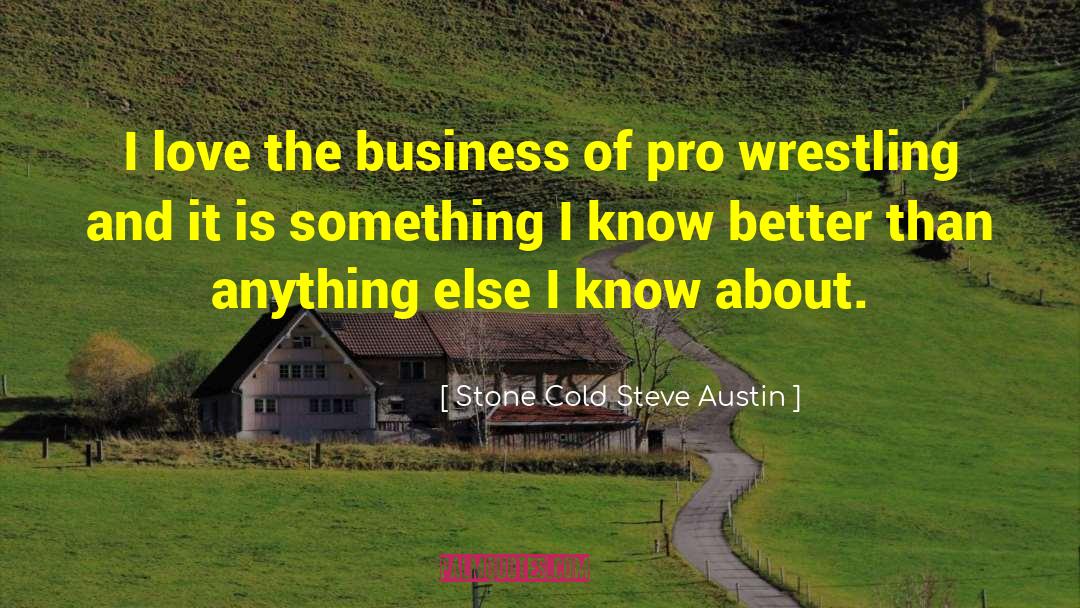 Stone Cold Steve Austin Quotes: I love the business of
