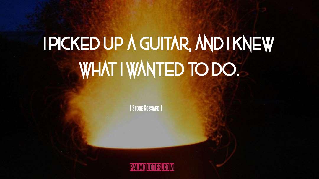 Stone Gossard Quotes: I picked up a guitar,