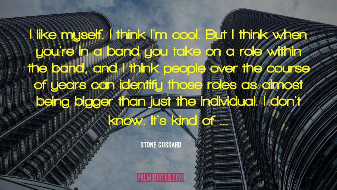 Stone Gossard Quotes: I like myself. I think