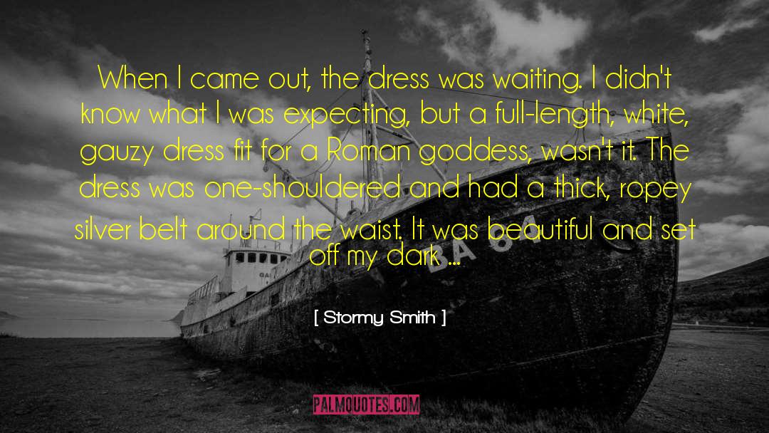 Stormy Smith Quotes: When I came out, the