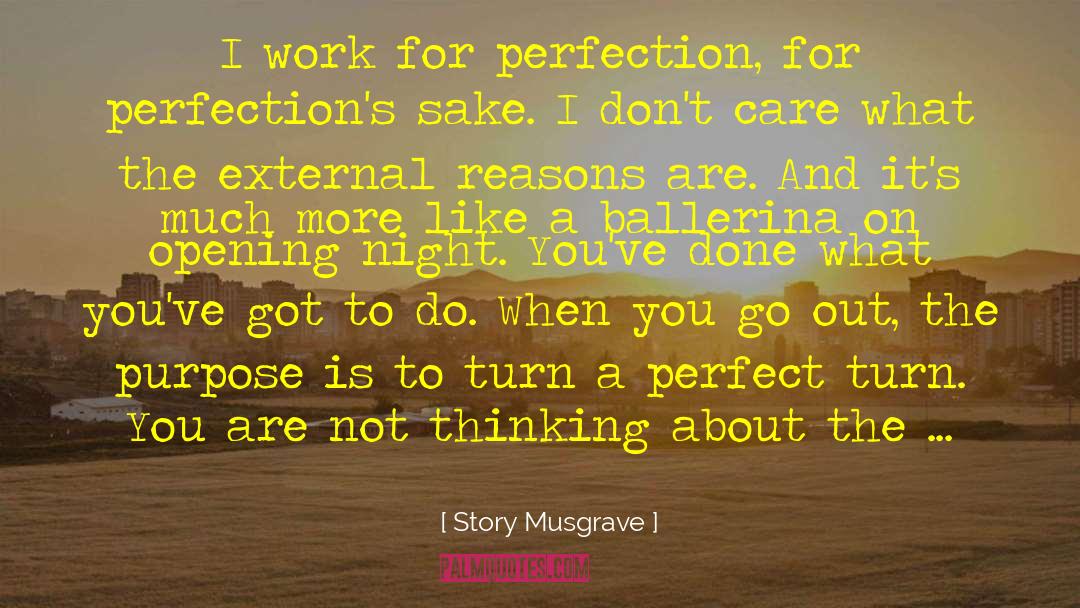 Story Musgrave Quotes: I work for perfection, for