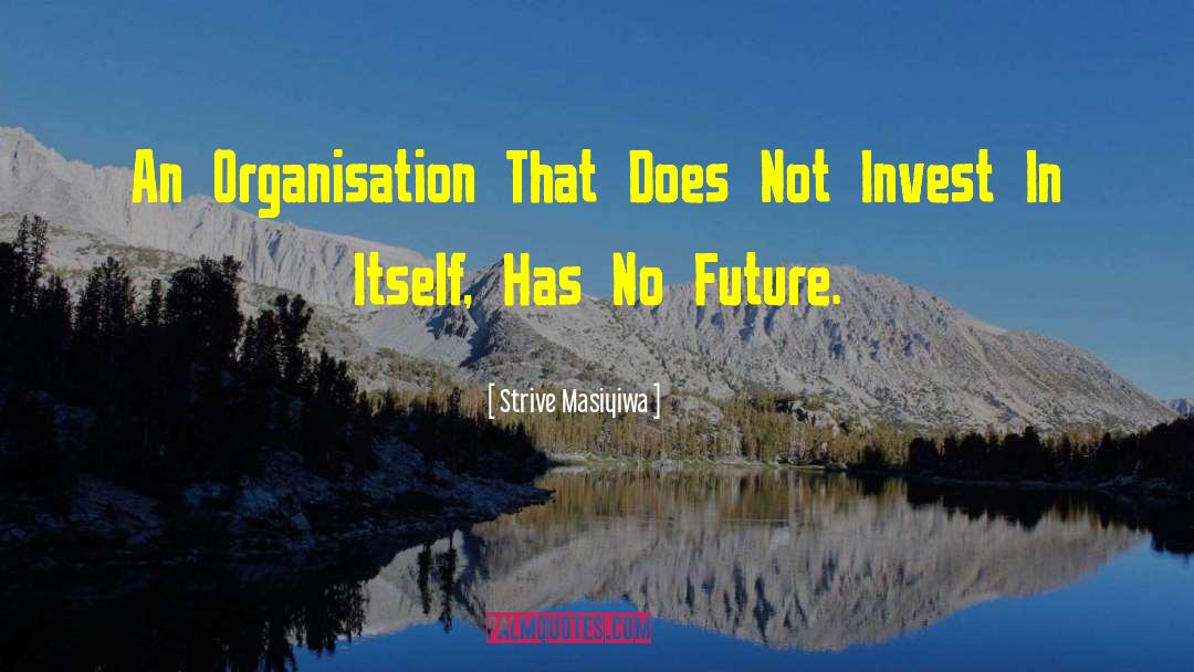 Strive Masiyiwa Quotes: An Organisation That Does Not