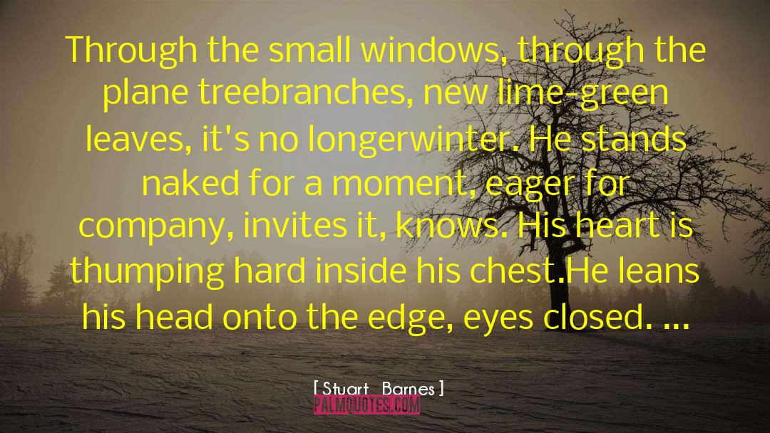 Stuart   Barnes Quotes: Through the small windows, through