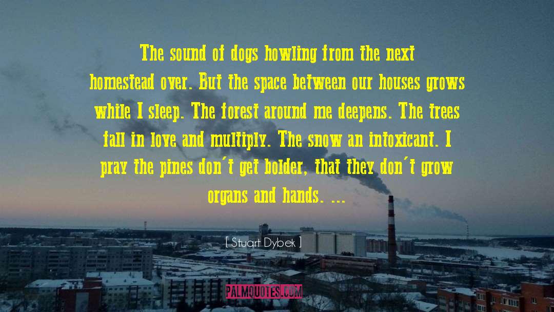 Stuart Dybek Quotes: The sound of dogs howling