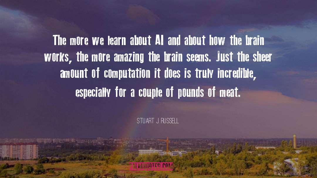 Stuart J. Russell Quotes: The more we learn about