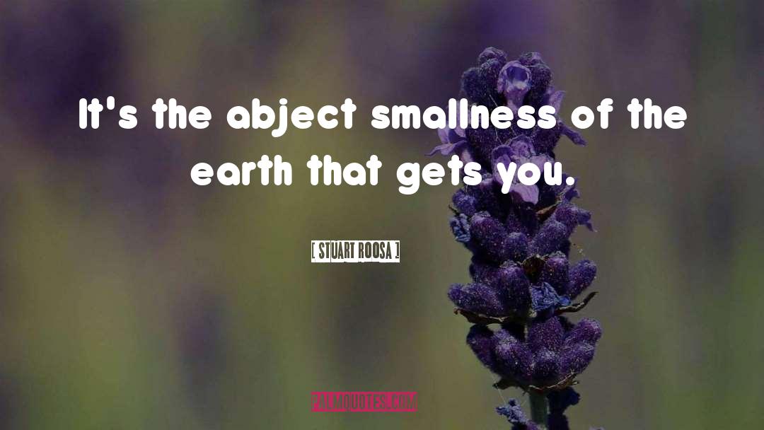 Stuart Roosa Quotes: It's the abject smallness of