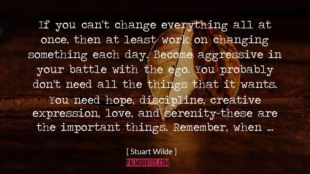 Stuart Wilde Quotes: If you can't change everything