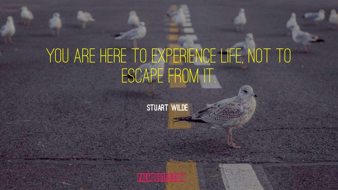 Stuart Wilde Quotes: You are here to experience