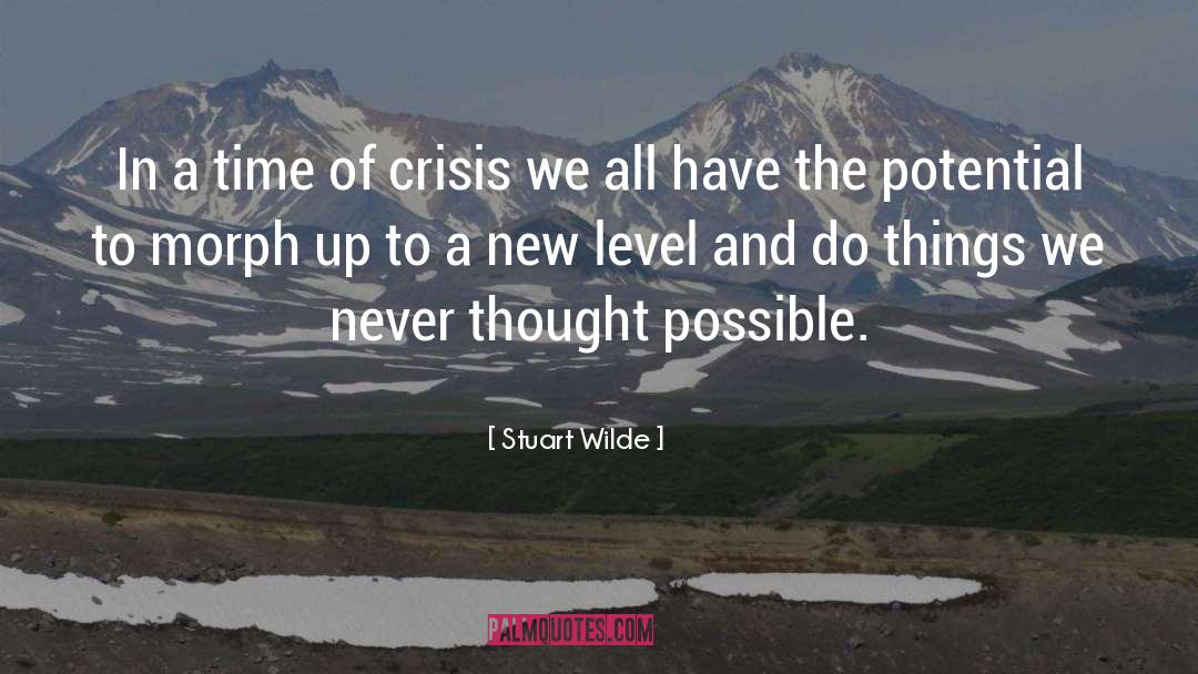 Stuart Wilde Quotes: In a time of crisis