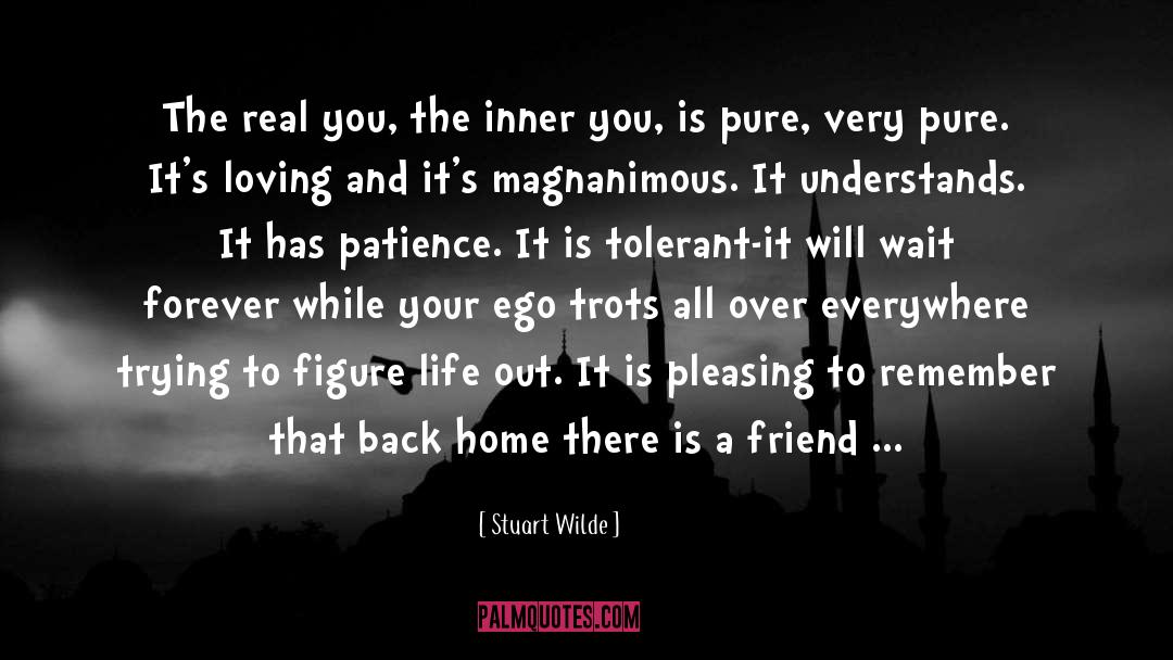 Stuart Wilde Quotes: The real you, the inner