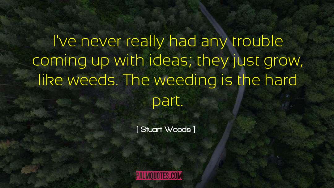 Stuart Woods Quotes: I've never really had any