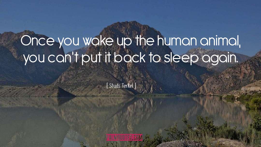 Studs Terkel Quotes: Once you wake up the