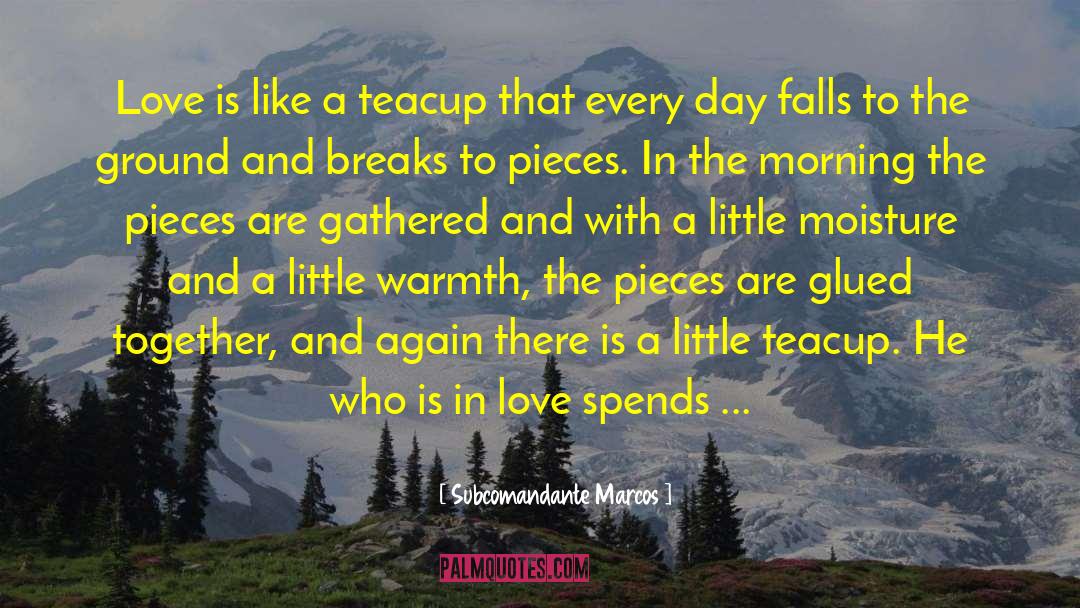 Subcomandante Marcos Quotes: Love is like a teacup