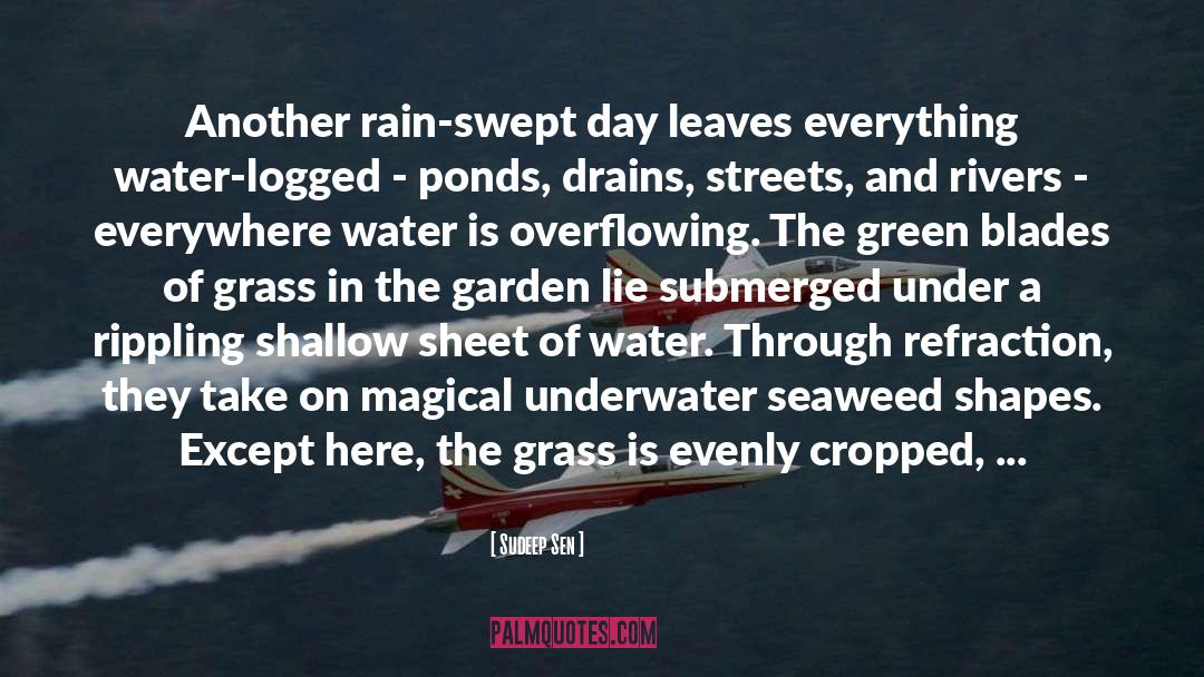 Sudeep Sen Quotes: Another rain-swept day leaves everything