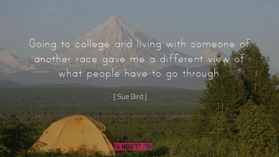 Sue Bird Quotes: Going to college and living