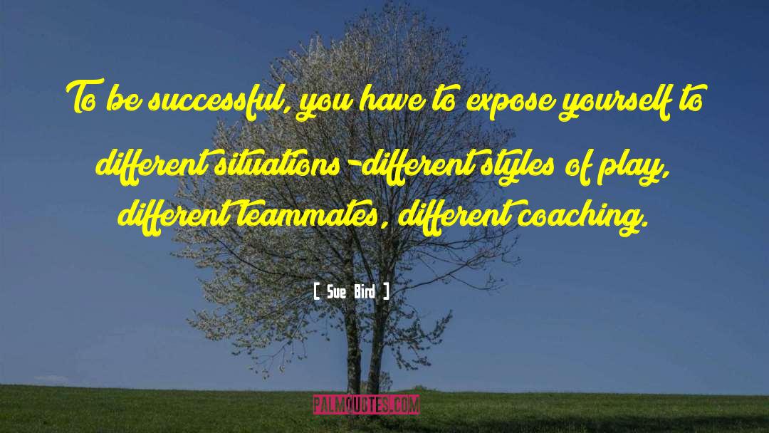 Sue Bird Quotes: To be successful, you have