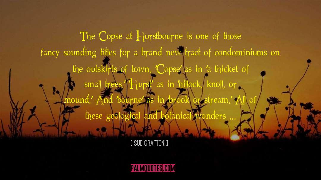 Sue Grafton Quotes: The Copse at Hurstbourne is