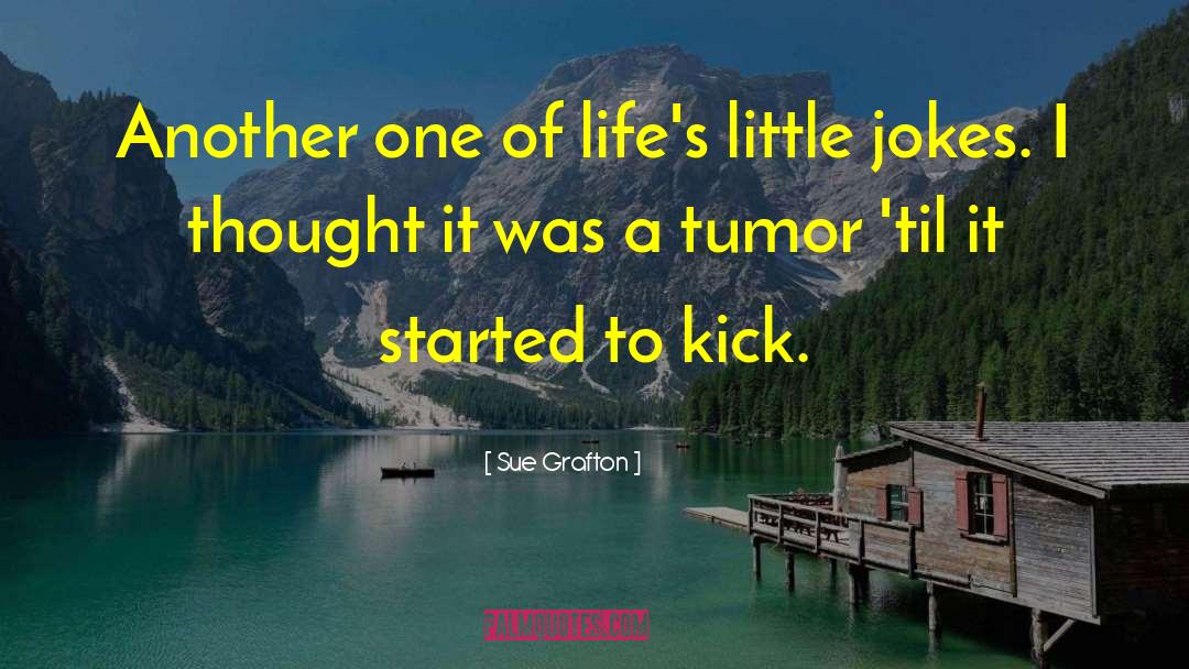 Sue Grafton Quotes: Another one of life's little