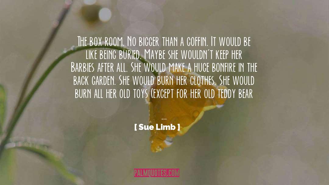 Sue Limb Quotes: The box room. No bigger