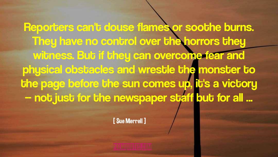 Sue Merrell Quotes: Reporters can't douse flames or