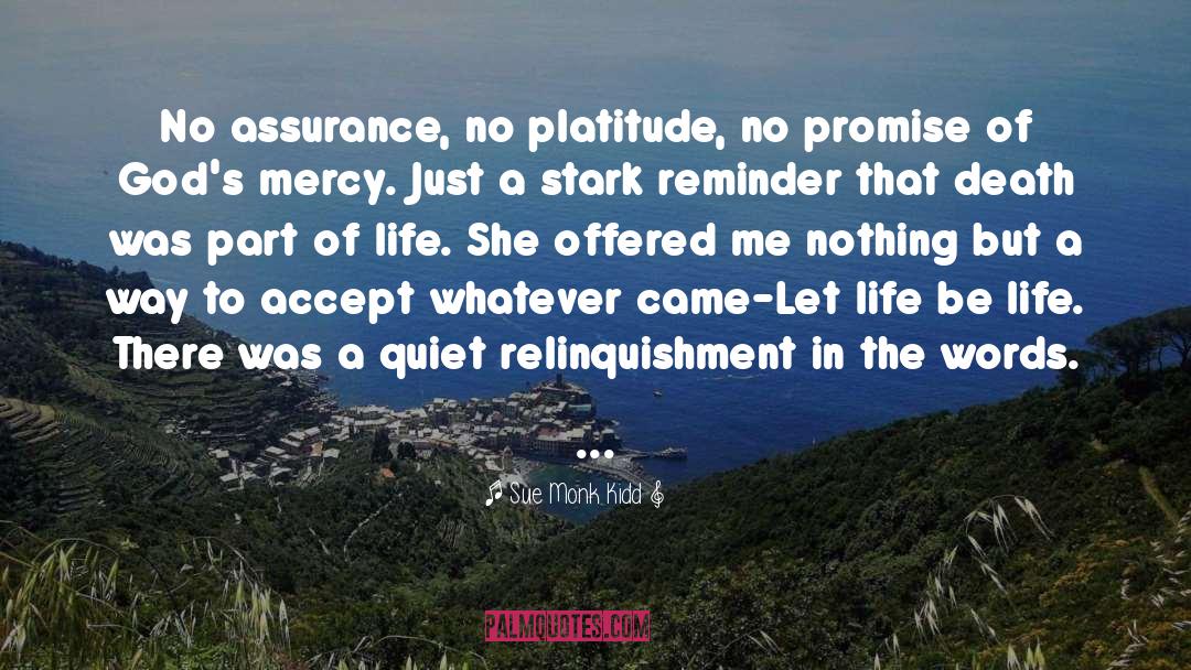 Sue Monk Kidd Quotes: No assurance, no platitude, no