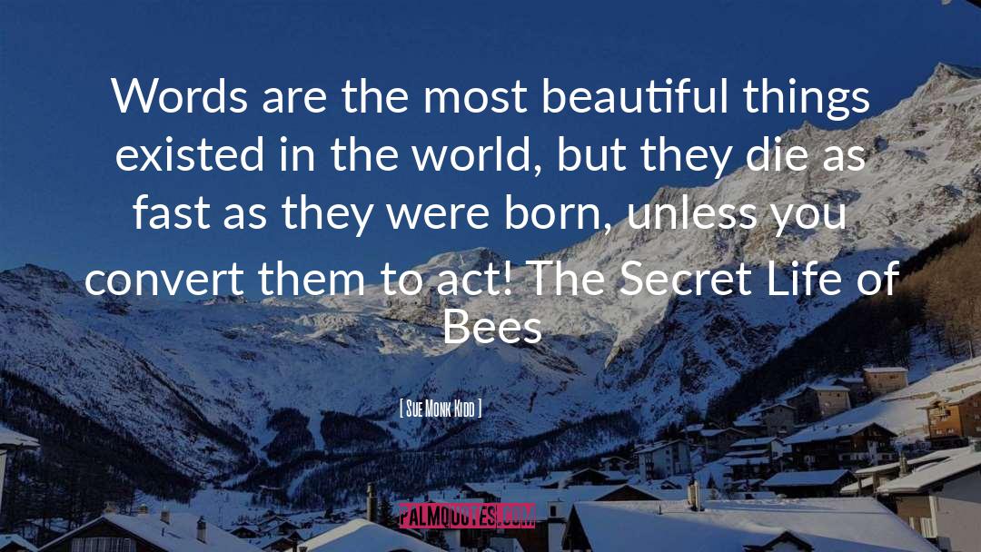 Sue Monk Kidd Quotes: Words are the most beautiful
