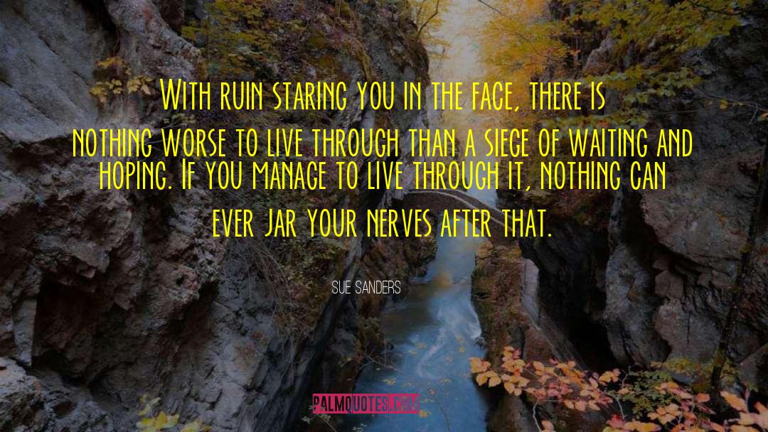 Sue Sanders Quotes: With ruin staring you in