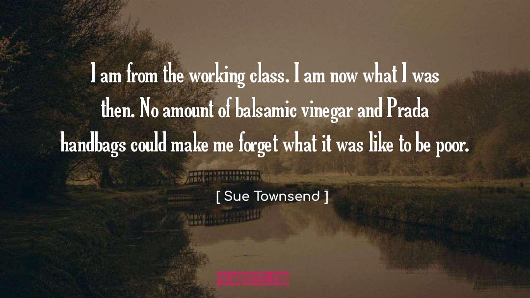 Sue Townsend Quotes: I am from the working