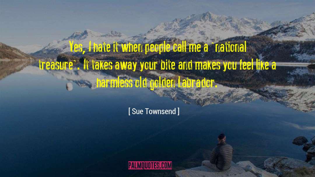 Sue Townsend Quotes: Yes, I hate it when