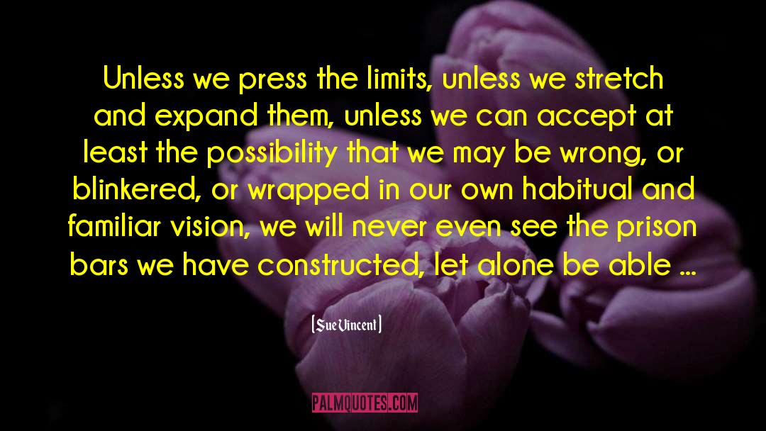 Sue Vincent Quotes: Unless we press the limits,