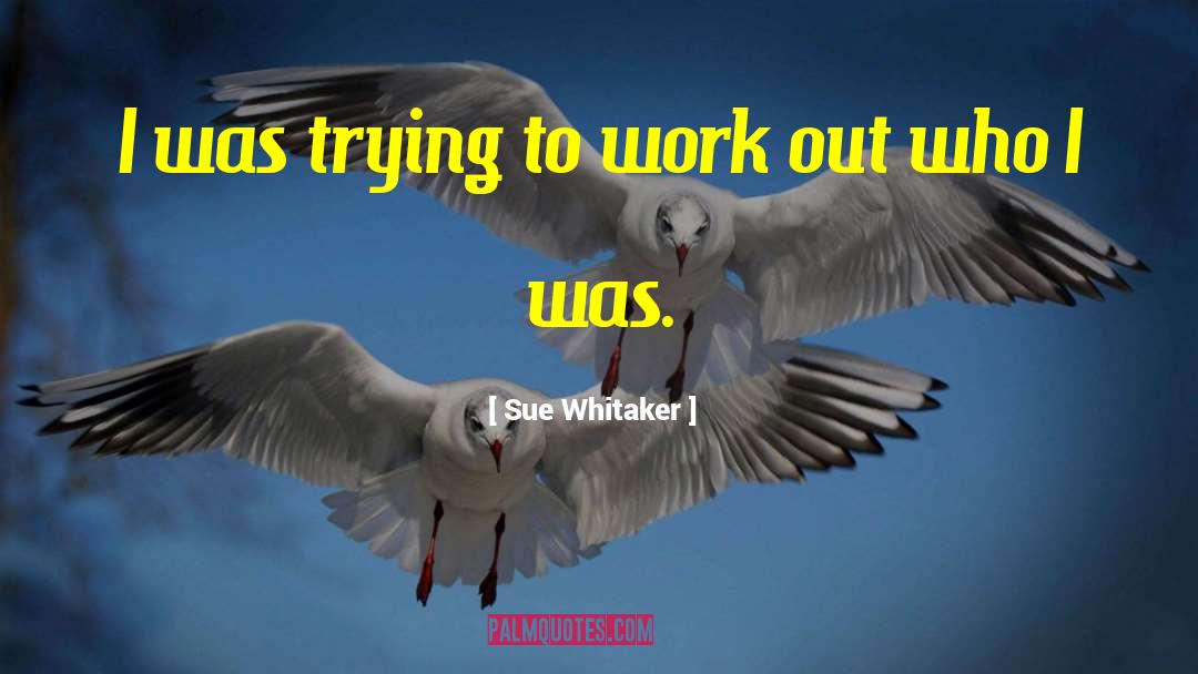 Sue Whitaker Quotes: I was trying to work