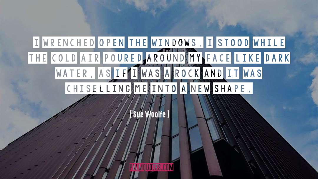 Sue Woolfe Quotes: I wrenched open the windows.