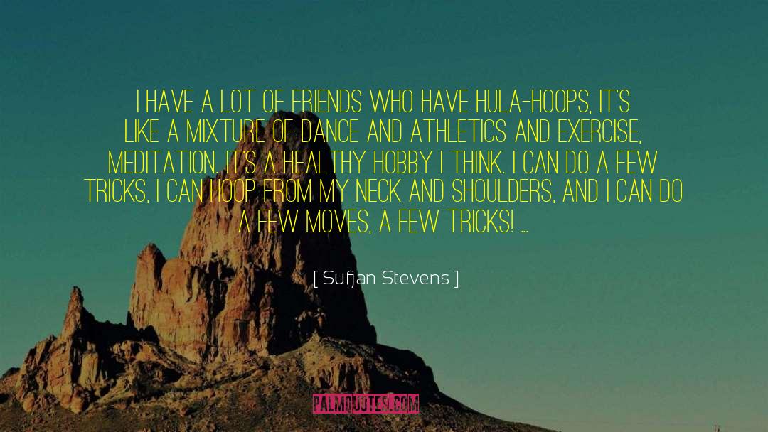 Sufjan Stevens Quotes: I have a lot of