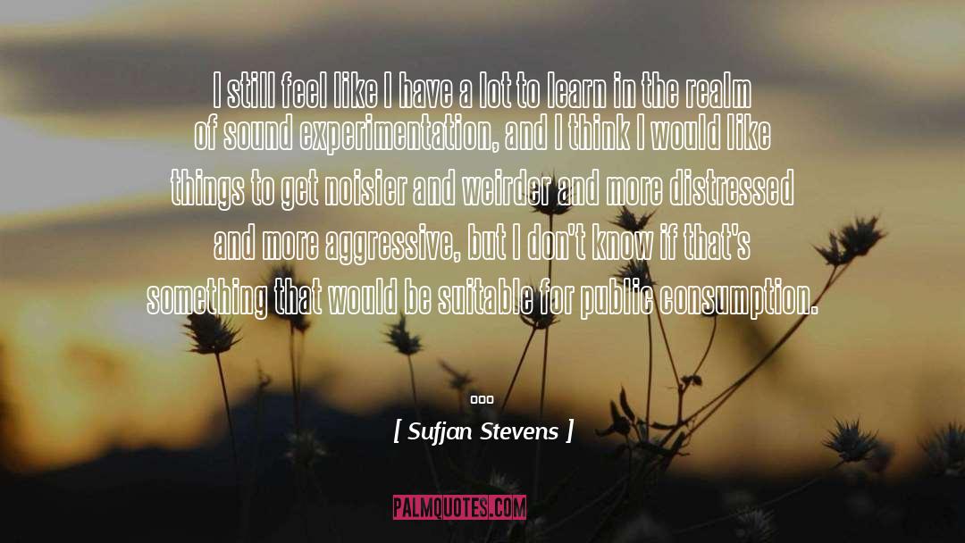 Sufjan Stevens Quotes: I still feel like I