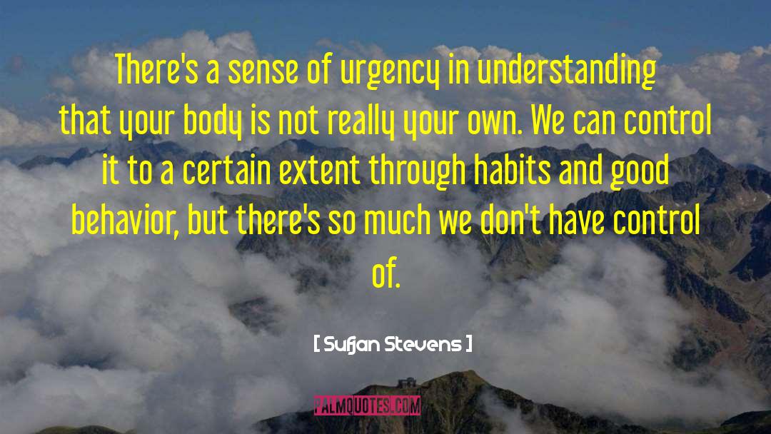 Sufjan Stevens Quotes: There's a sense of urgency