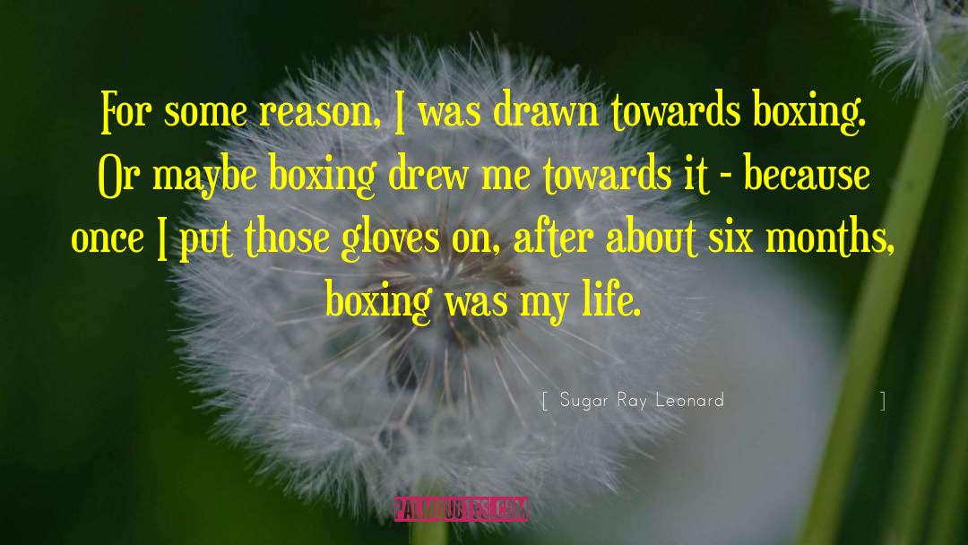 Sugar Ray Leonard Quotes: For some reason, I was