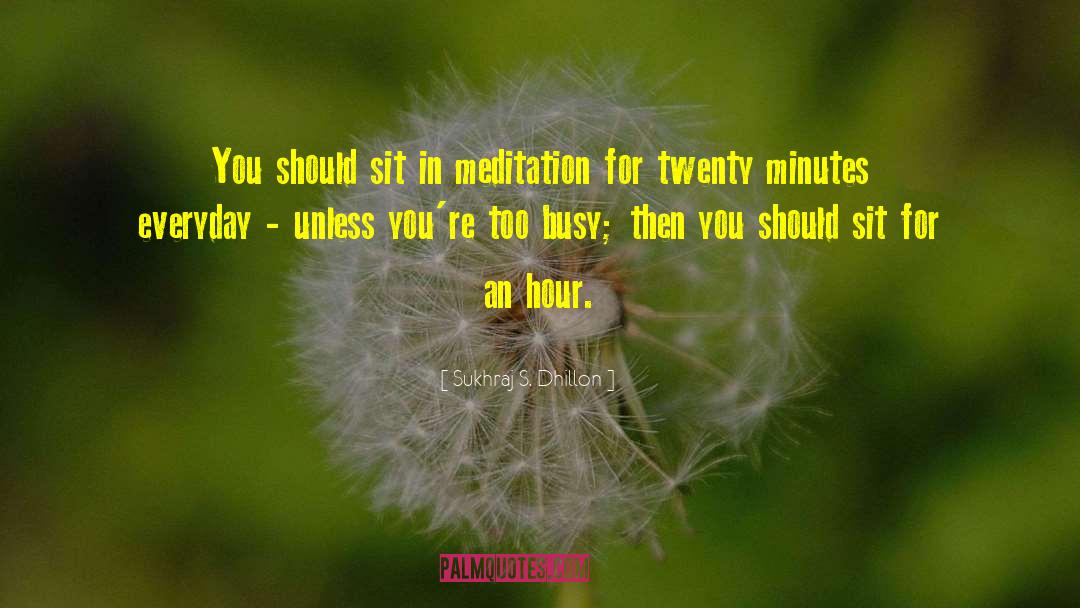 Sukhraj S. Dhillon Quotes: You should sit in meditation