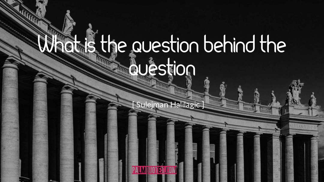 Sulejman Halilagic Quotes: What is the question behind