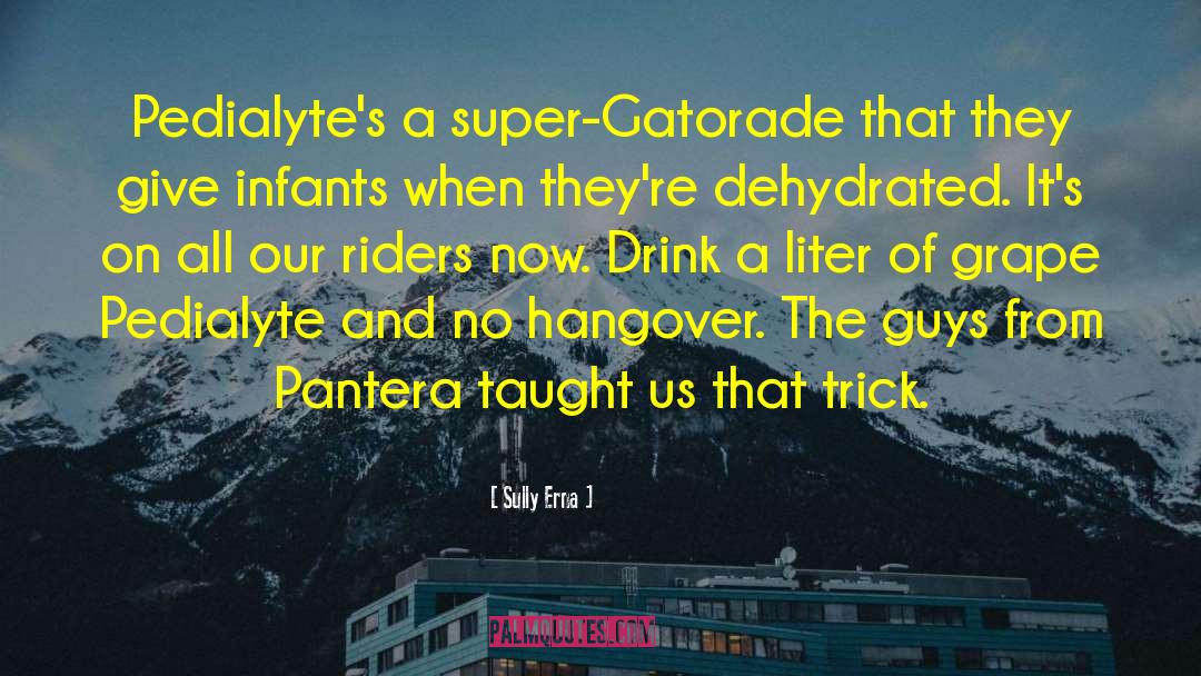 Sully Erna Quotes: Pedialyte's a super-Gatorade that they