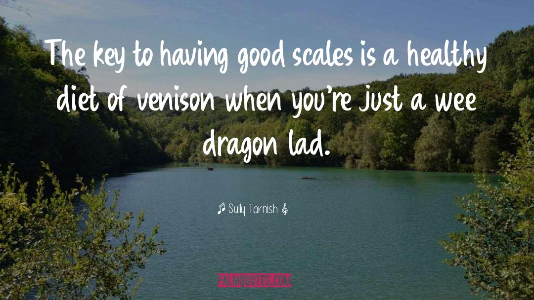 Sully Tarnish Quotes: The key to having good