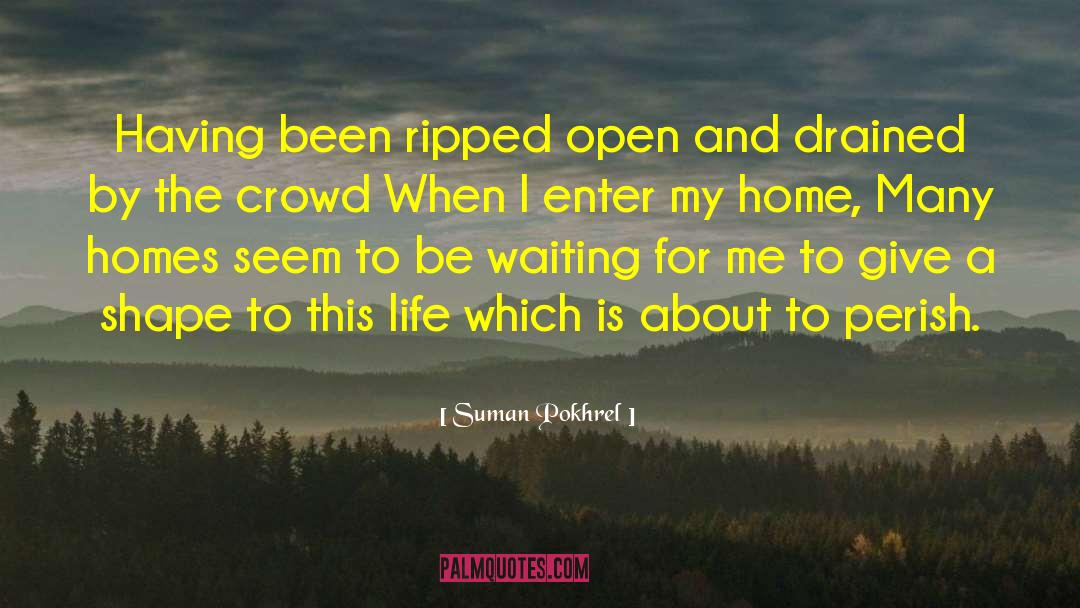 Suman Pokhrel Quotes: Having been ripped open and