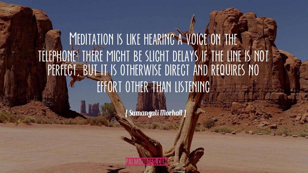 Sumangali Morhall Quotes: Meditation is like hearing a