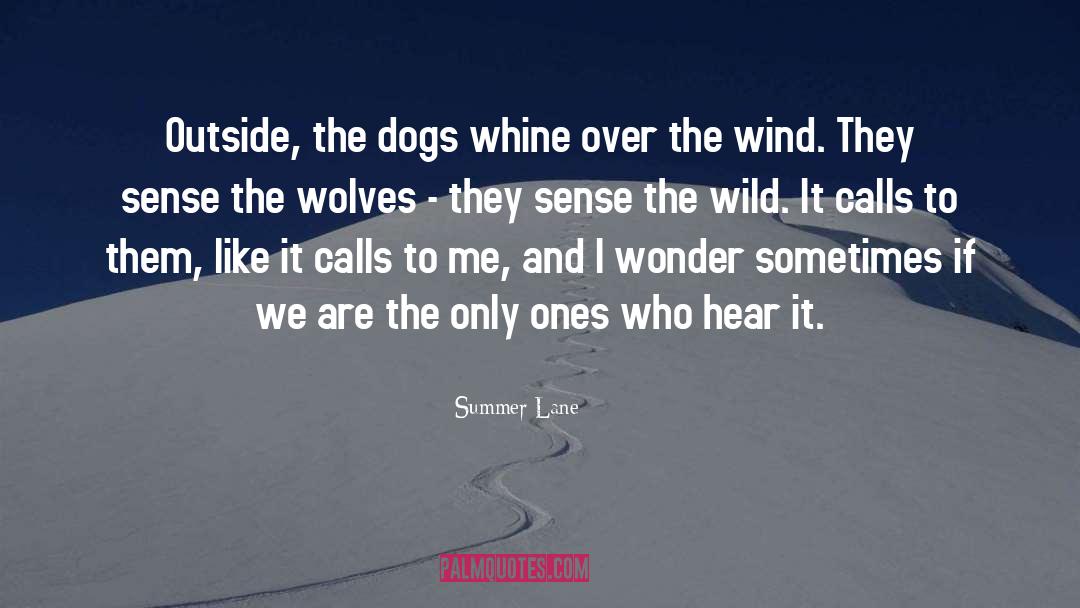 Summer Lane Quotes: Outside, the dogs whine over